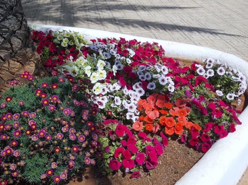 Hostal Rey Santa Eularia des Riu Buitenkant foto